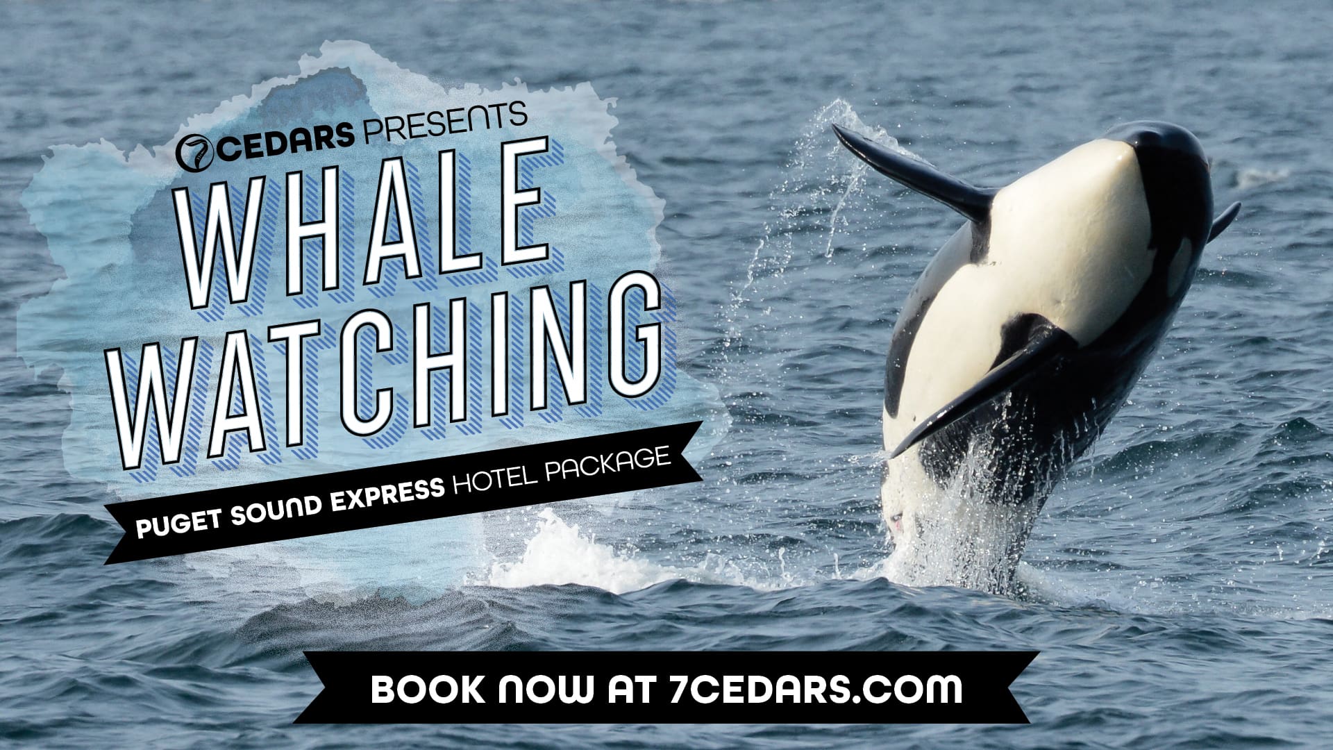 hotel_whale_watching_package_Landscape_1920x1080