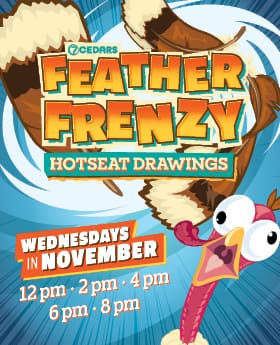 NOV_FeatherFrenzyHotseat_Web_280x345