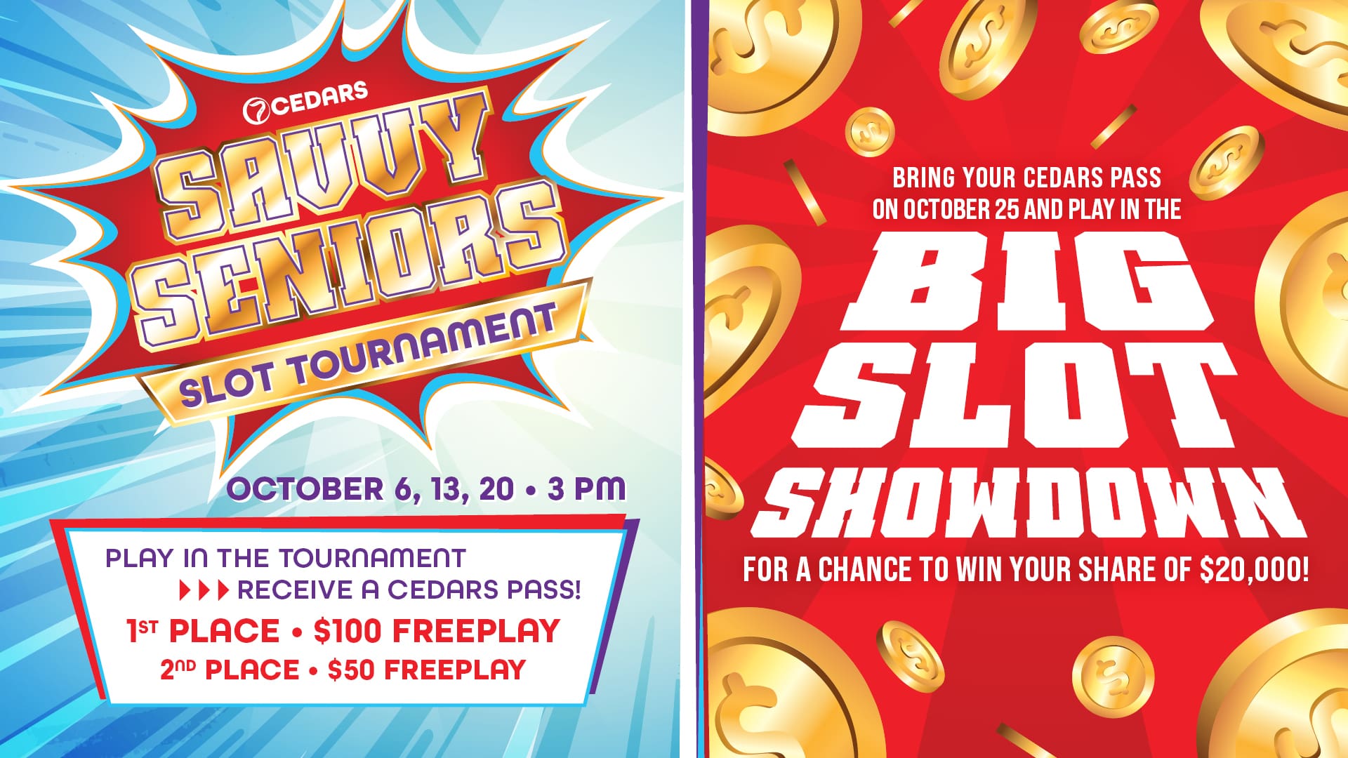 OCT_BSS_SavvySeniors_Landscape_1920x1080