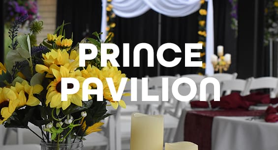 PrincePavilion_Web_title