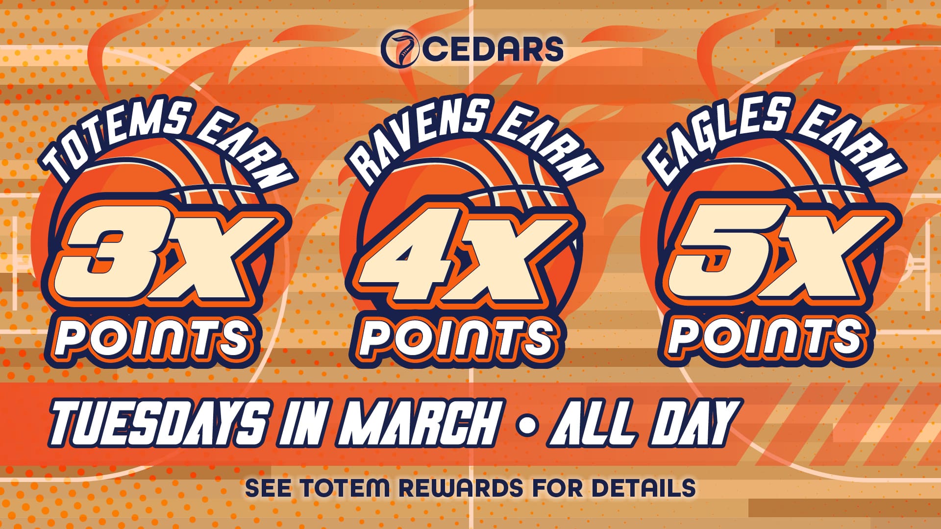 Tuesday Point Multipliers