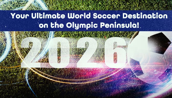 FIFA_landscape copy3