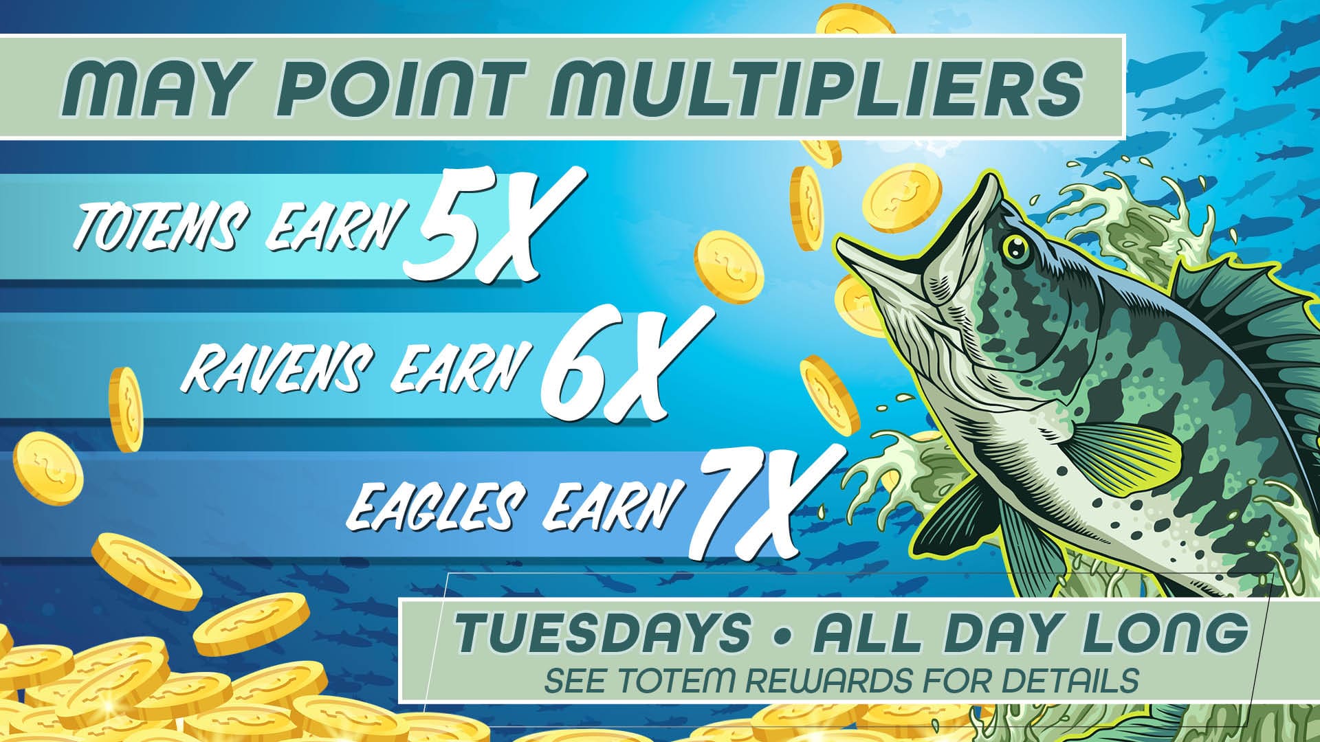 May Point Multipliers