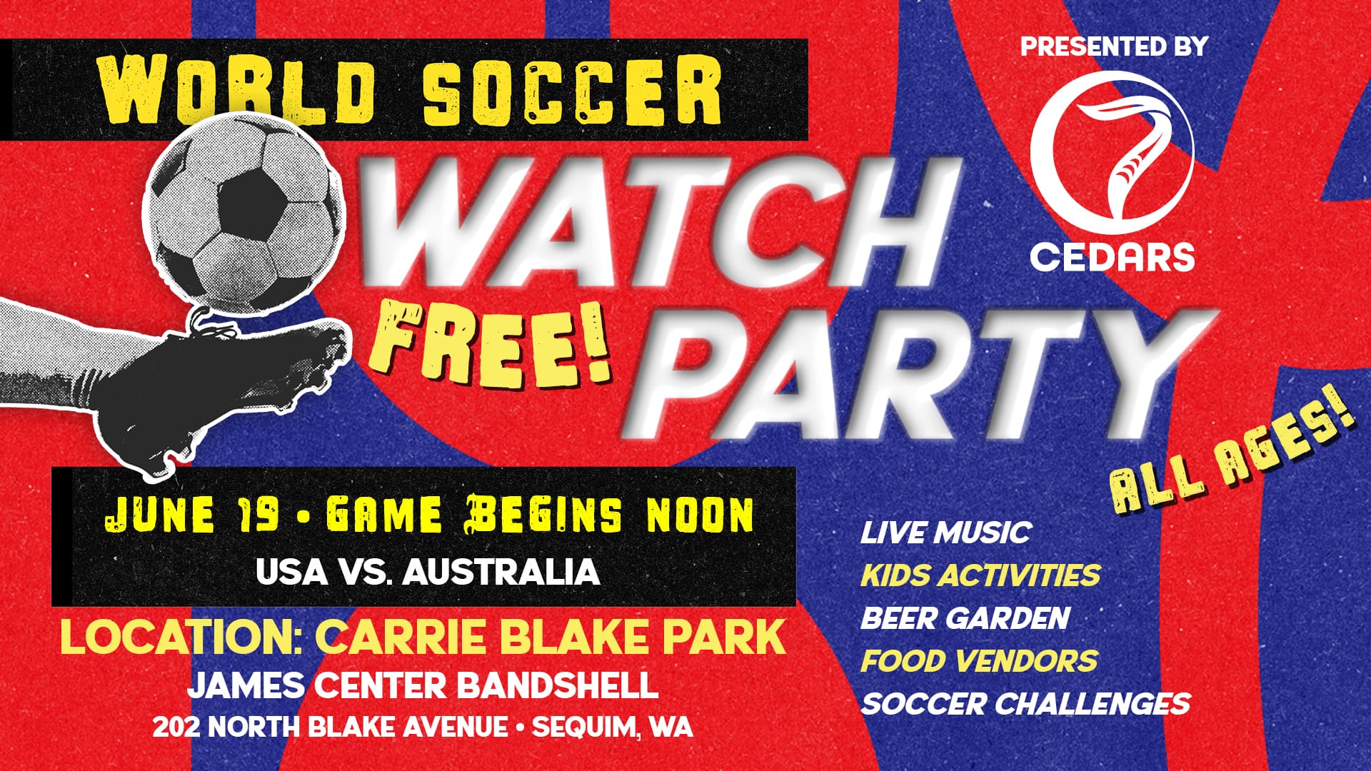 Comm_WorldSoccer_lanscape